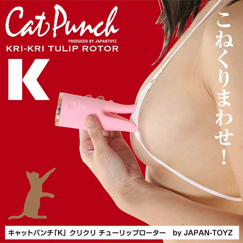 Cat Punch �L���b�g�p���`�̃C���[�W04
