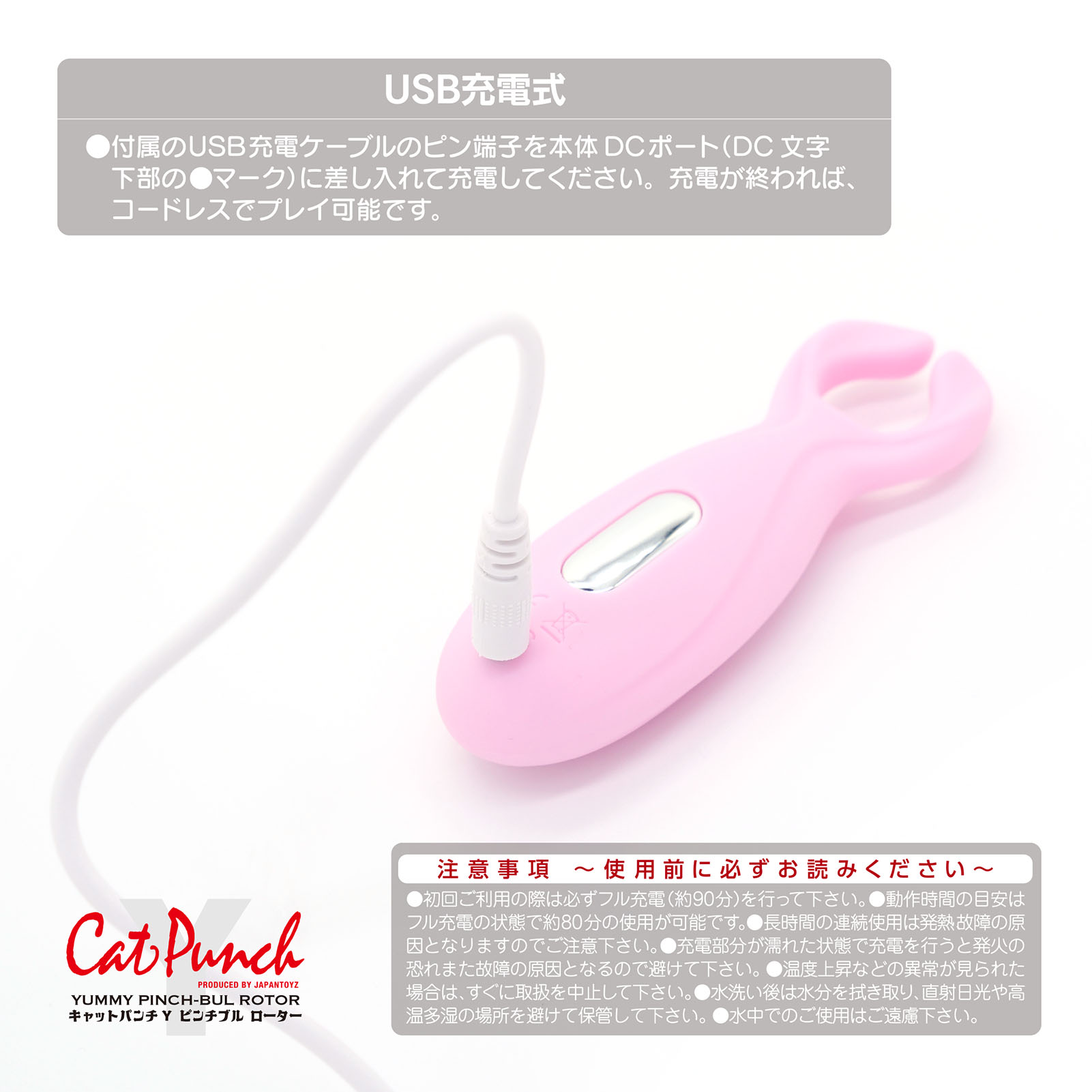 Cat Punch Lbgp`̃C[W05