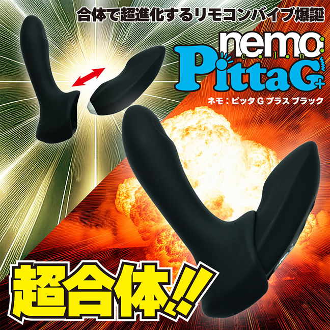 nemo�FPittaG+�̐��i�T�v01