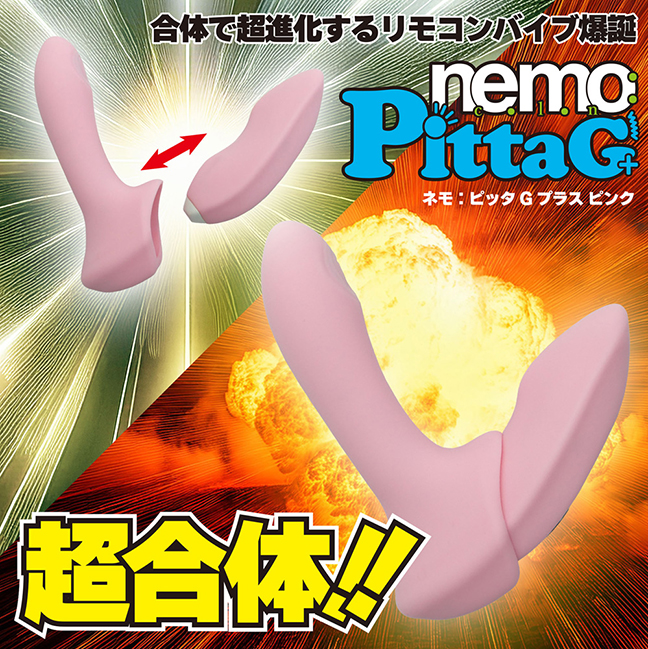 nemo�FPittaG+�̐��i�T�v01