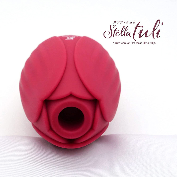 Stella tuliiXeE`j[̃C[W02