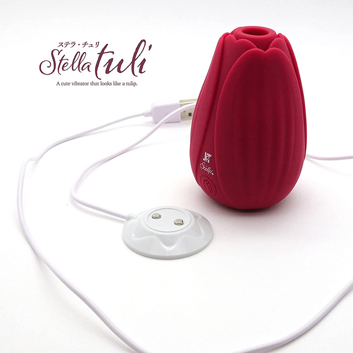 Stella tuliiXeE`j[̃C[W04