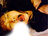Dolls [ZM]/photo05