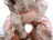 Dolls []/photo02