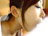 ȓzꕏq BEST 4/photo03