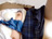 Ԃ琧Ɛ10@SȂ钅ߑ}@4/photo02