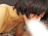 ̗/photo05