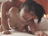 THEt2 [f̃`Y]/photo05