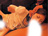 Gx[^[K[inciXC[g[)/photo04
