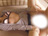 鏑in...iXC[g[)/photo03