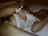 ԂꂽLo/photo05