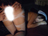 ֐O@eD16/photo06