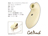 CatPunch C CHUPABUL ROTOR VANILLA WHITE/photo07