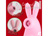 CatPunch N NOMNOM BUNNY ROTOR PINK/photo02