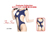 chu-U-chu Costume Collection ZNV[XN[  (S-009)/photo01