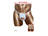 BadDaddy �Əo���z�[��T�o�b�N(H-001) �z���C�g/photo01