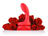 Rosa Rouge Massager i[UE[Wj/photo02