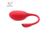 Magic Motion Magic FUGU RED [}WbN[V }WbN tO bh]/photo03
