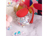 Magic Motion Magic FUGU RED [}WbN[V }WbN tO bh]/photo05