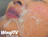h[V[29/photo06