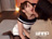 ũ_~łvtggڕœMIN`SEX/photo03