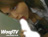 t5/photo03