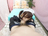 ڕJtF/photo02