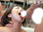 Ō̓IN`Ɂ@byt@4/photo01
