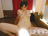 t T/photo03