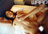 ܂@Part.2@uonTCglȕҁv/photo01