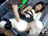 ΋̑flVDOLiuChjn^[5/photo02