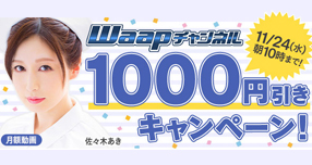 <span>yWAAPz</span>݁A^[J[P̏D񂪁u...