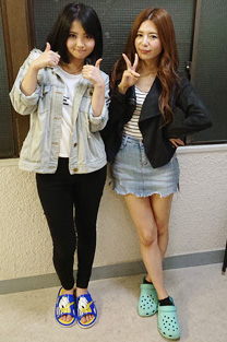 �u�I�ї�仂���v�̎B�e��C���[�W/photo40