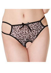 Lingerie Collection I[vNb`peBiO-006jIp[h