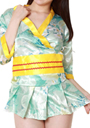 Costume Collection V[g䒅hXiu[j^ԕ