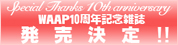 10TH ANNIVERSARY LOG